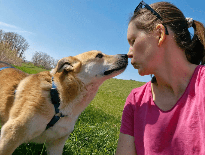 2025 04 06 09 39 20 siska ❤️ zarte seele sucht ihr glück! in rheinland pfalz grolsheim mischling