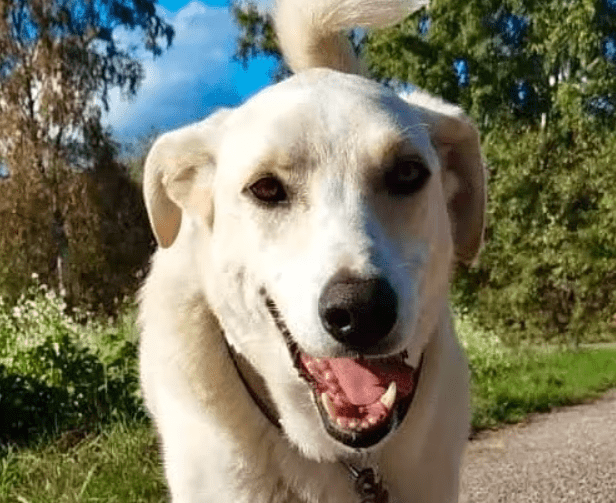 2025 10 23 17 36 50 posteingang sina.rieke kroeger@oetker.com outlook