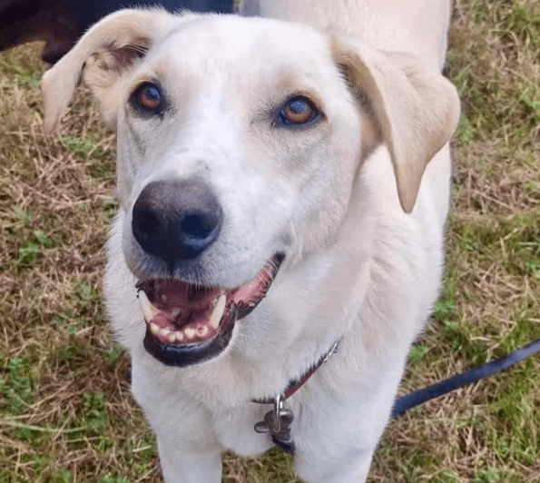 2025 10 23 17 36 56 posteingang sina.rieke kroeger@oetker.com outlook