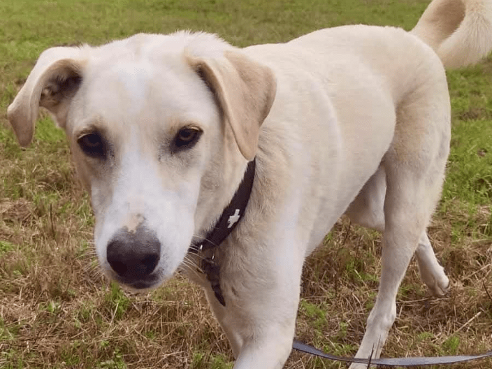 2025 10 23 17 37 02 posteingang sina.rieke kroeger@oetker.com outlook