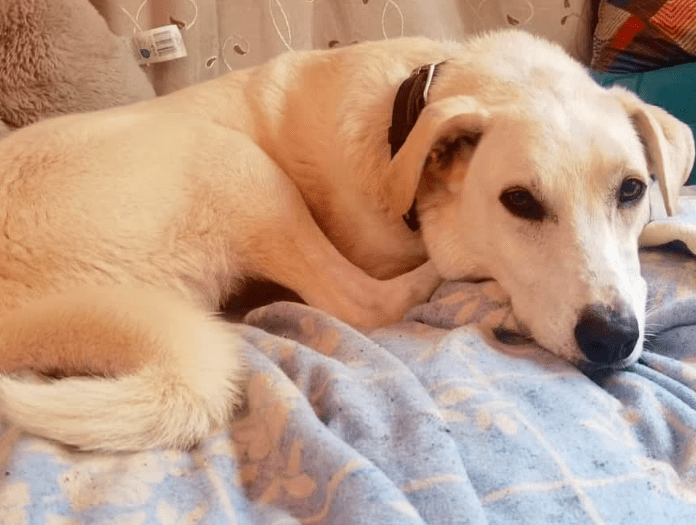 2025 10 23 17 37 09 posteingang sina.rieke kroeger@oetker.com outlook