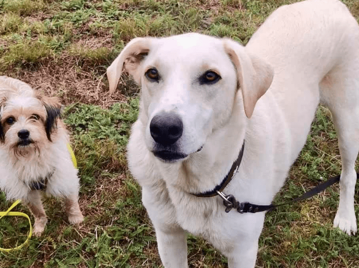 2025 10 23 17 37 16 posteingang sina.rieke kroeger@oetker.com outlook