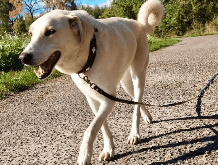 2025 10 23 17 37 27 posteingang sina.rieke kroeger@oetker.com outlook