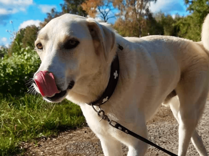 2025 10 23 17 37 38 posteingang sina.rieke kroeger@oetker.com outlook