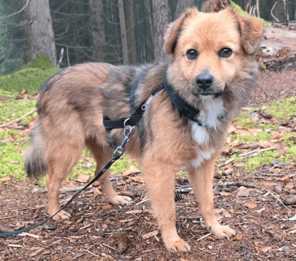 2025 12 17 08 33 56 Unbenannt Besprechung