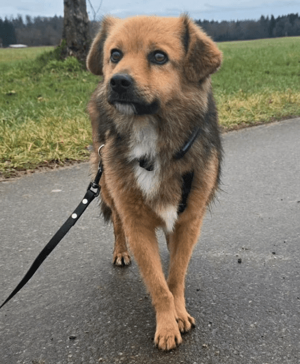 2025 12 17 08 34 00 Unbenannt Besprechung