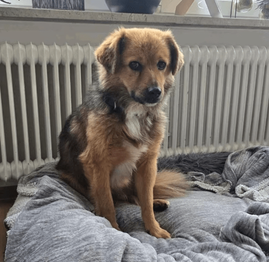 2025 12 17 08 34 04 Unbenannt Besprechung