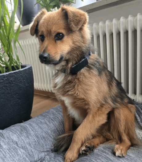 2025 12 17 08 34 10 Unbenannt Besprechung