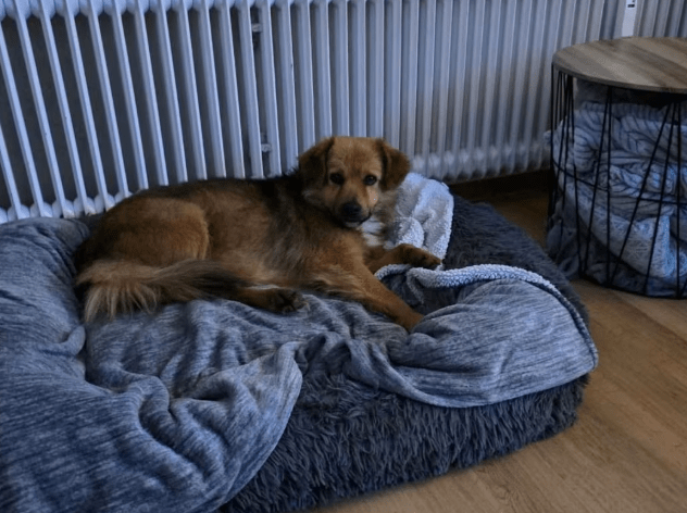 2025 12 17 08 34 15 Unbenannt Besprechung