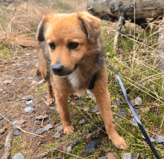 2025 12 17 08 34 23 Unbenannt Besprechung