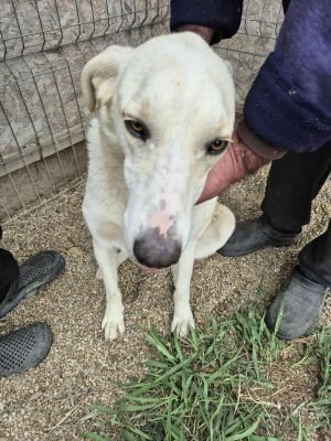 551509569 1294606098812895 154383726363388972 n