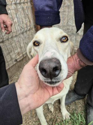 552402274 1328590965574937 4353118913419697704 n