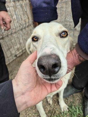 552407670 1317438036716120 7465791594643199634 n