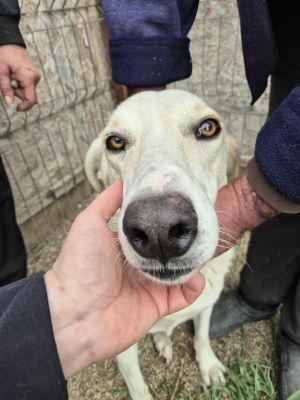 552422873 1166428492050202 4893205791749520013 n