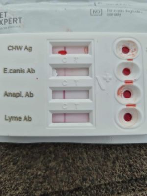 552445571 1997843687637949 39388170983132798 n