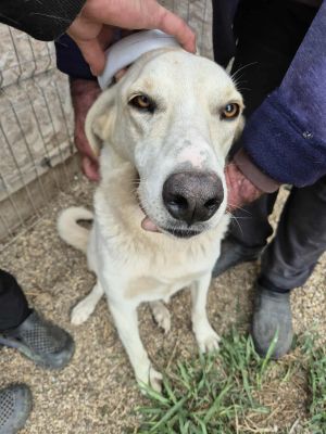 553106465 1238913294656961 898952549605680845 n