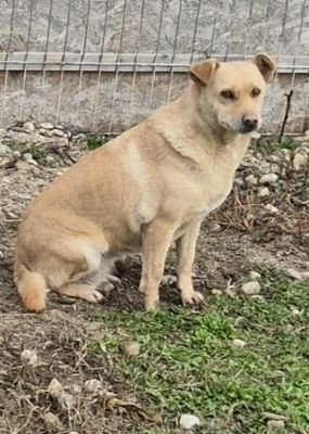 588088698 1342603440329250 9020065046601070599 n