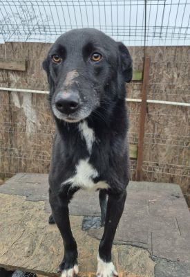 589112296 827901446869393 7562121132012773925 n (1)