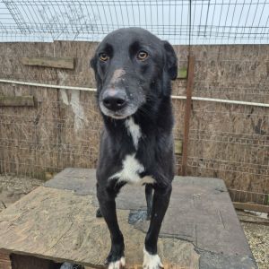 589112296 827901446869393 7562121132012773925 n