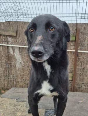 589112296 827901446869393 7562121132012773925 n