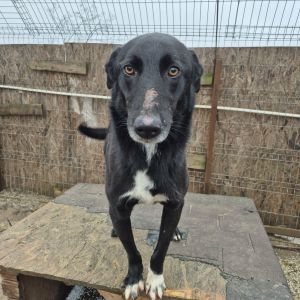 589144224 847791501514187 3278986823318324664 n