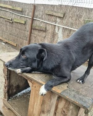 589518302 1148565310759141 8923152678121575905 n