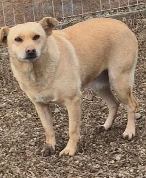 589523384 1141821708156259 4526701749021627783 n