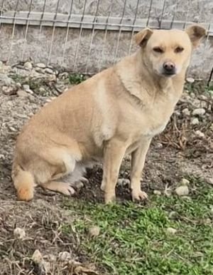 589724351 1904157116846536 3639571195039157321 n