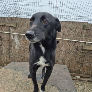 589902123 1563565521308929 7097695694263306033 n