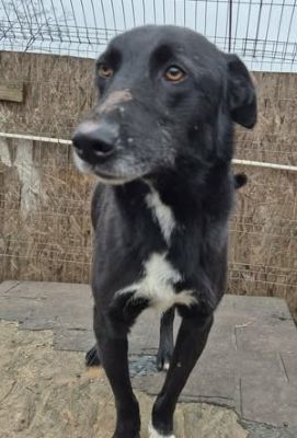 589902123 1563565521308929 7097695694263306033 n