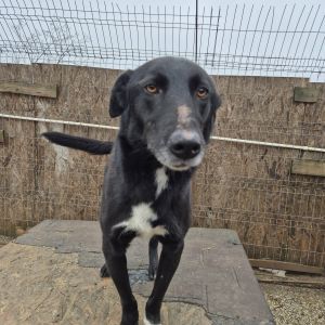 591975086 1942866946646726 3526869636397265689 n