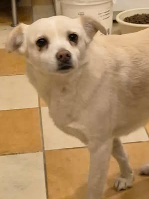 614847924 1677448856953762 7702886945141302905 n