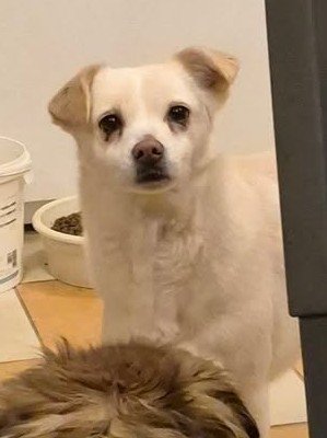 616040743 775360672244443 1953541862057433298 n