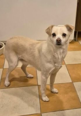 616075115 4347721502125588 8212423640470402956 n