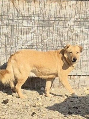 643822512 25763674566647931 495524690791545216 n