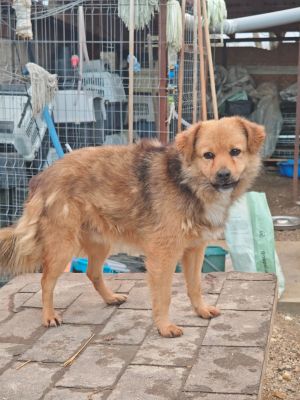 WhatsApp Bild 2025 11 21 um 15.48.04 359430d9