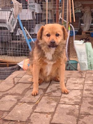 WhatsApp Bild 2025 11 21 um 15.48.05 422dea08