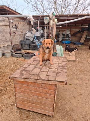 WhatsApp Bild 2025 11 21 um 15.48.05 9ca81b7d