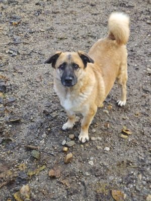 WhatsApp Bild 2025 11 22 um 10.43.24