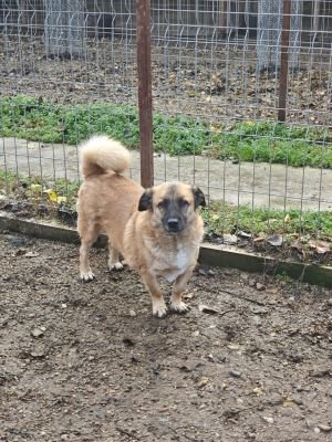 WhatsApp Bild 2025 11 22 um 10.43.24 41f9cdd1