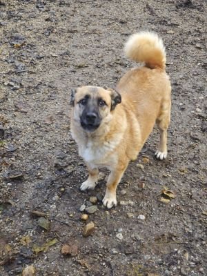 WhatsApp Bild 2025 11 22 um 10.43.24 fa90ceb6