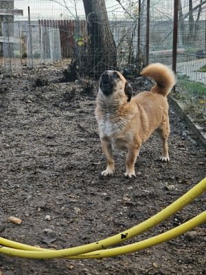 WhatsApp Bild 2025 11 22 um 10.43.25 018cde27