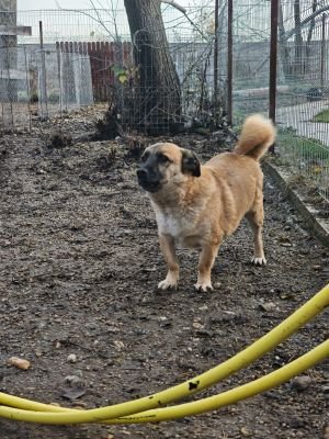 WhatsApp Bild 2025 11 22 um 10.43.25