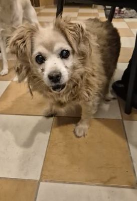 588215205 3240999926199006 6544408423523493366 n