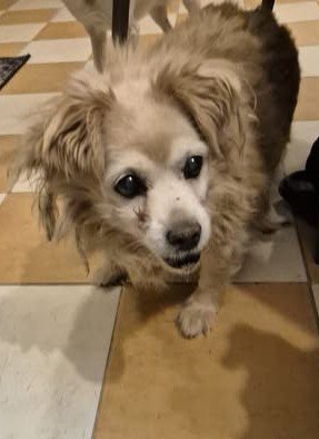 588442813 877868651562337 3562947691278558677 n