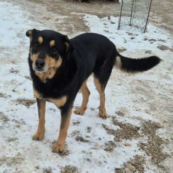 598892713 906118845298275 1140994446006615749 n