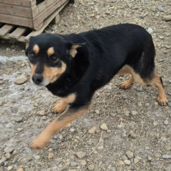 611426354 1604948197598508 6536613831565604498 n