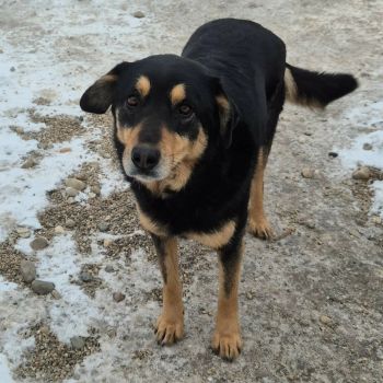 614319725 2111584086253566 921912551566626371 n