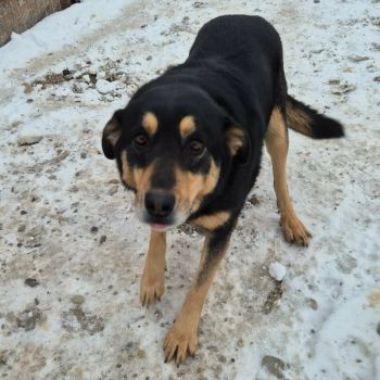 615047935 2343510132743483 7503504435362442336 n