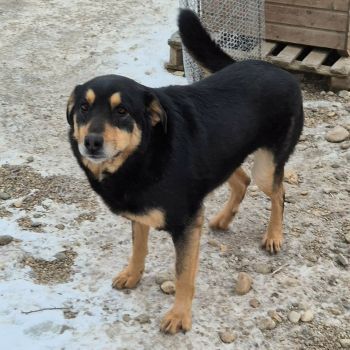 615344113 33343899351922430 4596009463235874050 n